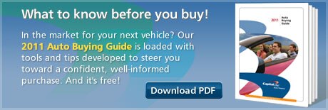 Something for everyone - 2009 Capital One Auto Buying Guide